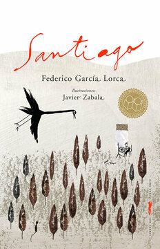 Imagen de apoyo de  Santiago