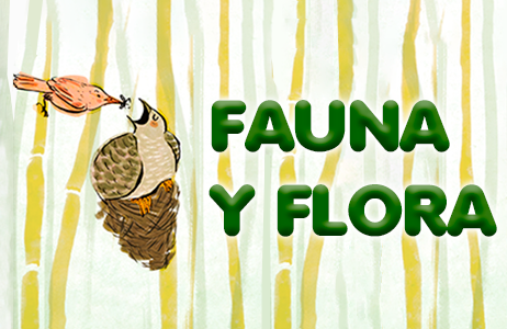 Fauna y flora