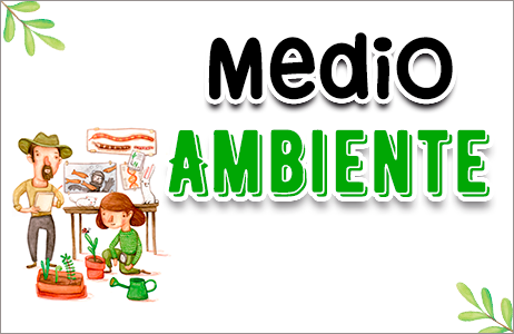 Medio ambiente